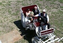 D. Stewart's wedding carriage
